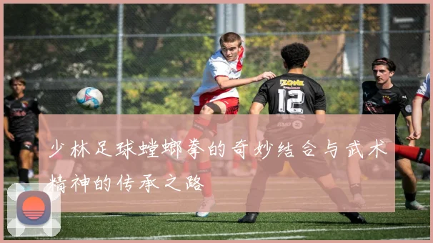 少林足球螳螂拳的奇妙结合与武术精神的传承之路