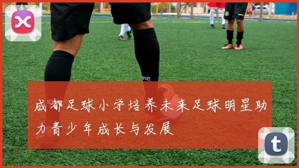 成都足球小学培养未来足球明星助力青少年成长与发展